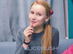 Alicebush