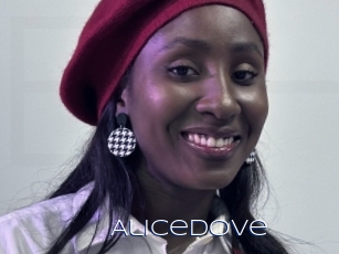 Alicedove