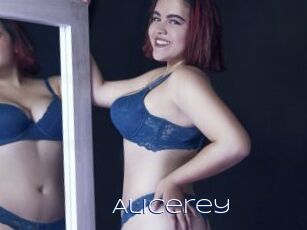 Alicerey