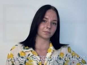 Alodiecommander