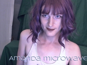 Amanda_microwave