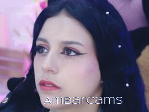 Ambarcams