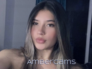 Ambercams
