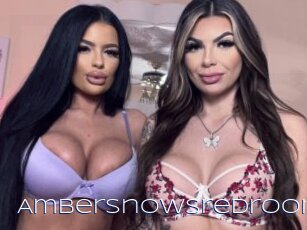 Ambersnowsredroom
