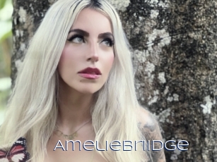 Ameliebriidge