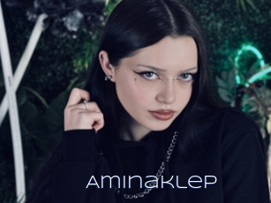 Aminaklep
