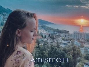 Amismett