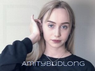 Amitybudlong