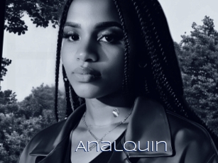 Analquin