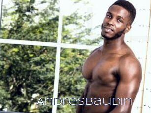 Andresbaudin