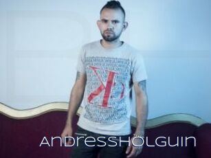 Andressholguin