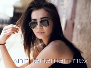 Andrianamartinez