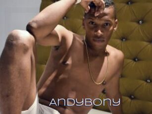 Andybony