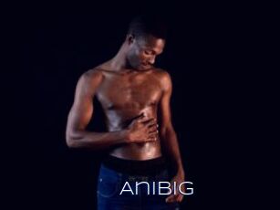 Anibig