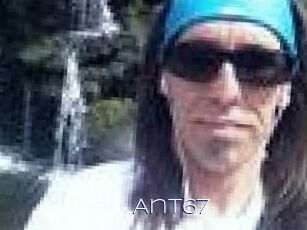 Ant67