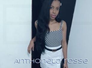 Anthonela_rosse