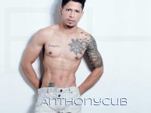 Anthonycub