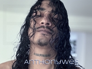 Anthonywes