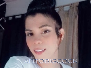 Antobigcock