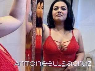 Antoneellaacruz