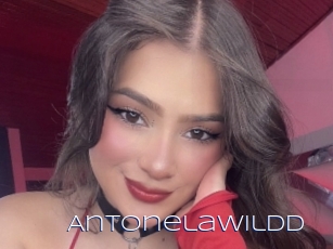 Antonelawildd