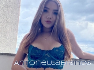 Antonellabrands