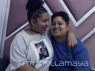 Antonellamaya