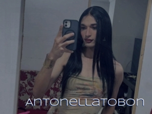Antonellatobon