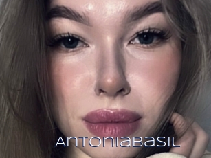 Antoniabasil