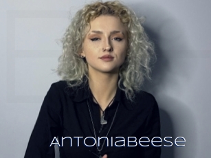 Antoniabeese