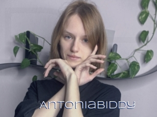 Antoniabiddy
