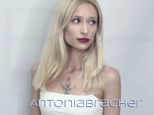 Antoniabracher