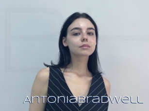 Antoniabradwell