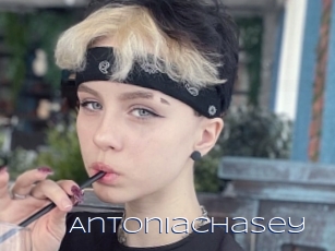 Antoniachasey