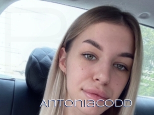 Antoniacodd