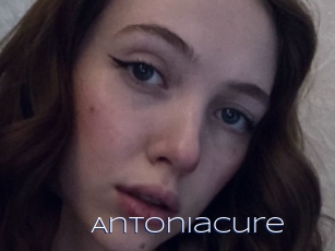 Antoniacure