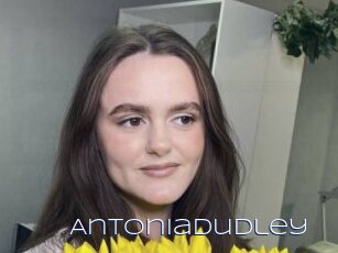 Antoniadudley