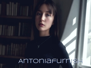 Antoniafurnish