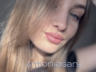 antoniagary Blue Hot