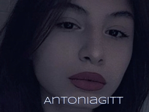 Antoniagitt