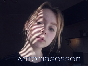 Antoniagosson