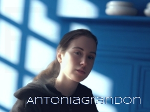 Antoniagrandon