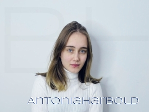 Antoniaharbold