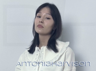 Antoniaharvison