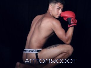 Antonycoot