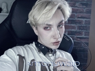 Antonywaid