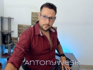 Antonywesk