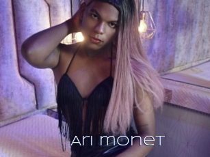 Ari_monet