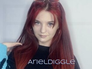 Arieldiggle