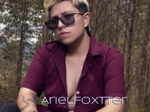 Arielfoxtter
